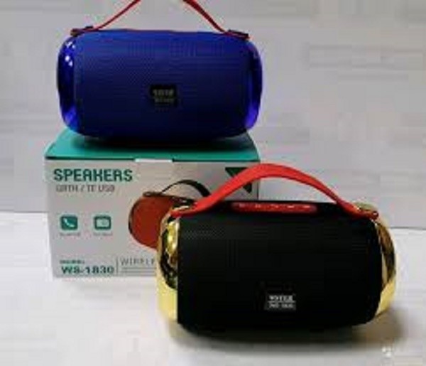Loa bluetooth WS-1830