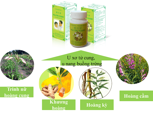 nga phụ khang