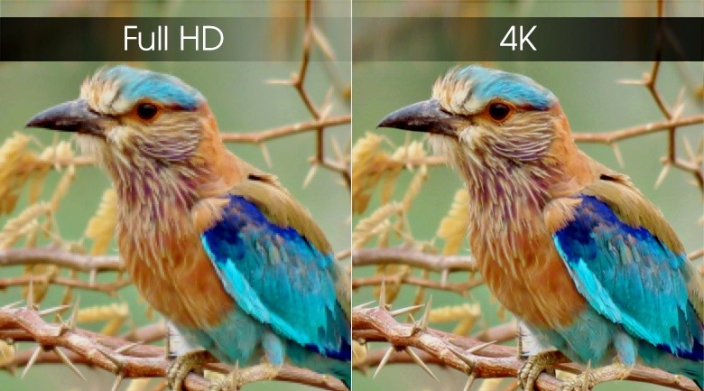 Android Tivi TCL 4K 65 inch L65P8-UF - 4K Android Tivi TCL 4K 65 inch L65P8-UF - 4K