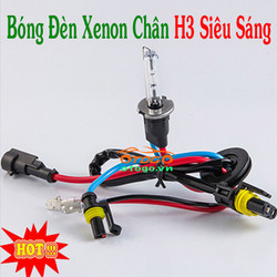 Đèn Xenon Ô Tô Chân H3 Siêu Sáng