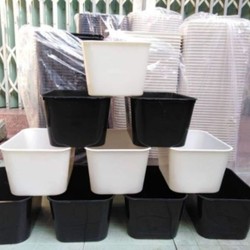 Ship từ 5 cái - Thùng kem nhựa không nắp nuôi cá màu trắng và đen