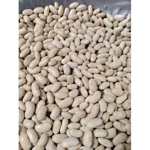 500g đậu trắng đà lạt