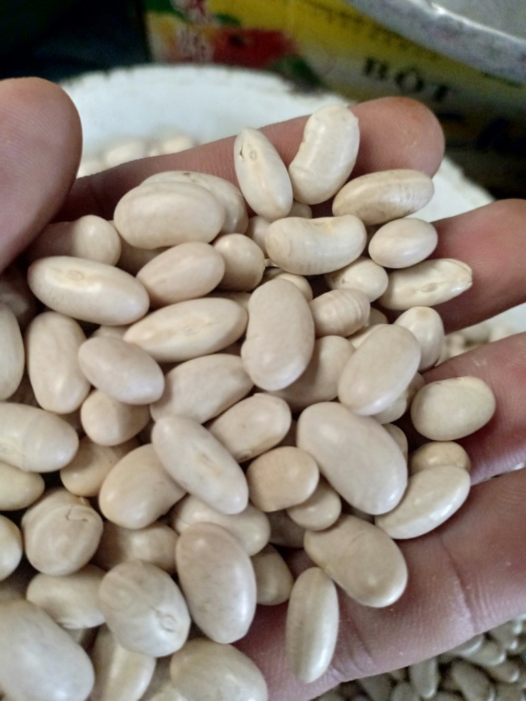 500g đậu trắng đà lạt