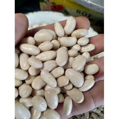 500g đậu trắng đà lạt