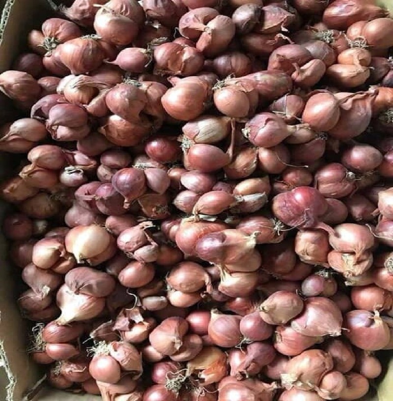 1 KG HÀNH PHI  KHÔ THƠM NGON