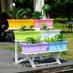 Chậu trồng hoa nhựa