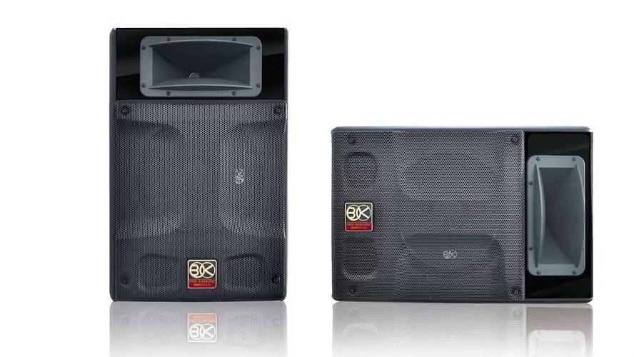 Loa BIK BP-S55