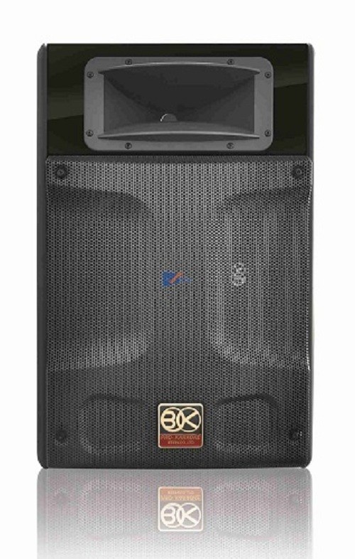 Loa BIK BP-S55