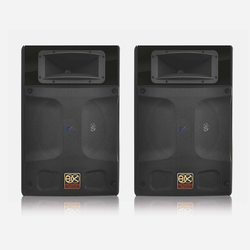 Loa BIK BP-S55