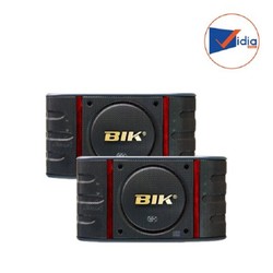 Loa karaoke Bik Bs 999 (999v)