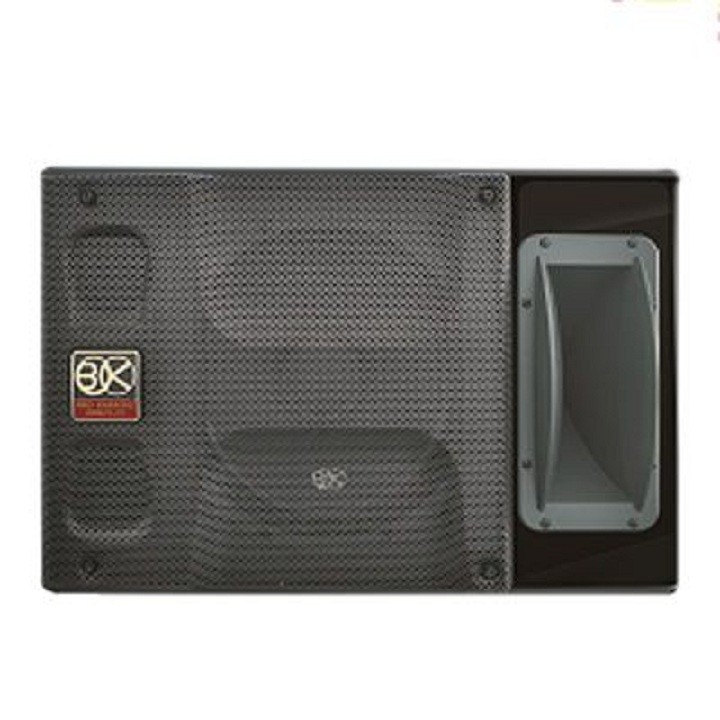 Loa BIK BP-S55
