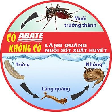 Thuốc diệt muỗi bọ gậy lăng quăng ABATE 1SG 100g - Abate, Abate, Abate, Abate