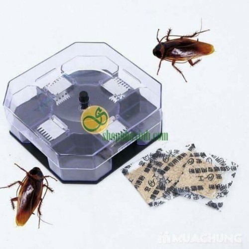 DỤNG CỤ BẮT GIÁN