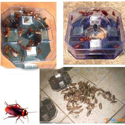 DỤNG CỤ BẮT GIÁN