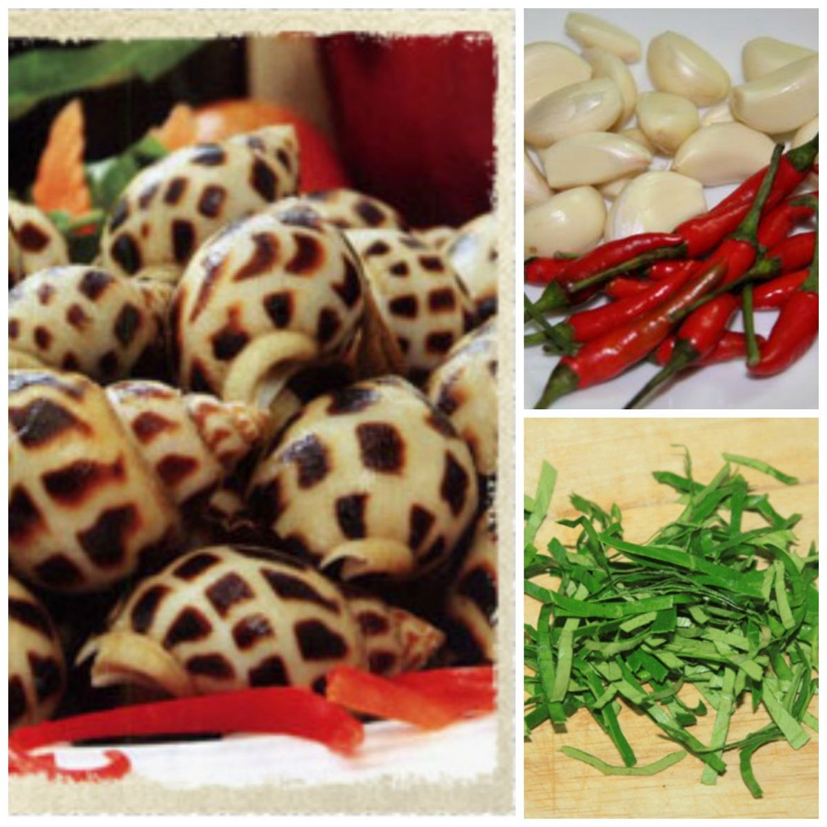 Ốc hương