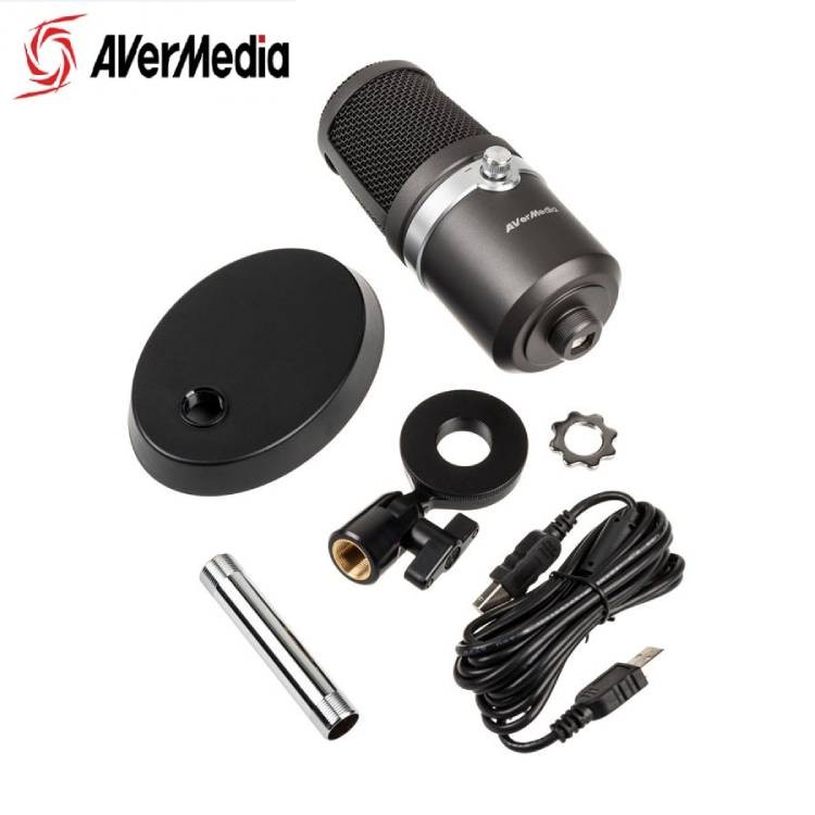 Micro Avermedia AM310