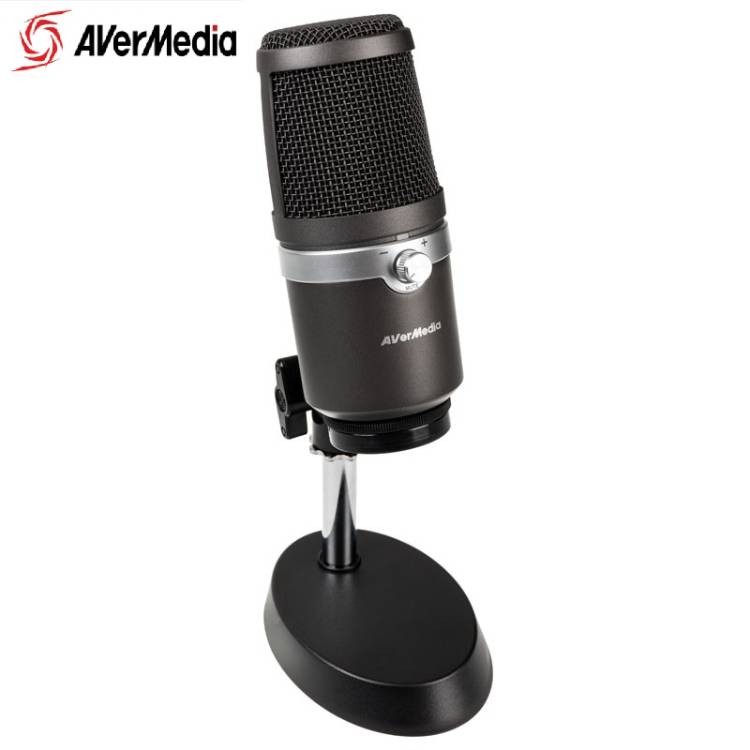 Micro Avermedia AM310