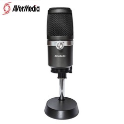 Micro Avermedia AM310
