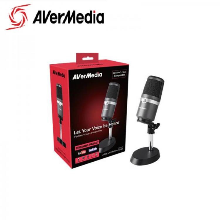 Micro Avermedia AM310