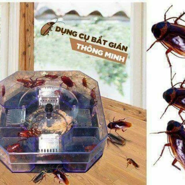 DỤNG CỤ BẮT GIÁN
