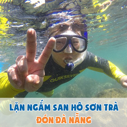 Tour 1N lặn ngắm san hô Sơn Trà – ăn trưa tự túc, đón tận nơi tại Đà Nẵng – TDDA007