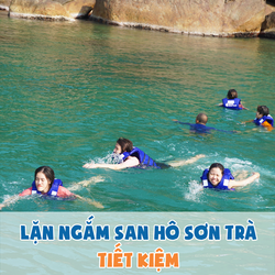 Tour 1N lặn ngắm san hô Sơn Trà – ăn trưa tự túc, đón tại bãi Rạng – TDDA009
