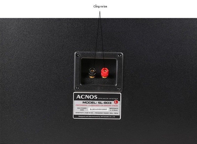 Loa Karaoke Acnos SL-803