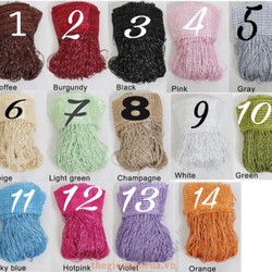 rèm kim tuyến spa 3 mét x 3 mét