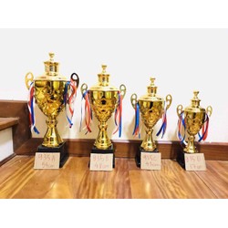 Cúp vàng thể thao 613