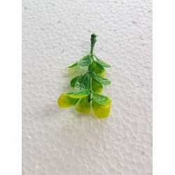 cỏ điểm rẻ đã nhặt sạch combo 2kg