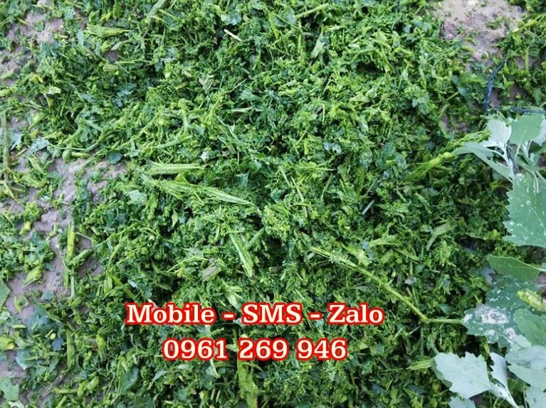 BoidWN_simg_d0daf0_800x1200_max.jpg BoidWN_simg_d0daf0_800x1200_max.jpg