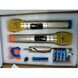 Mic không dây Aiwa AV33