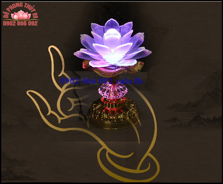 hZKYYu_simg_d0daf0_800x1200_max.png