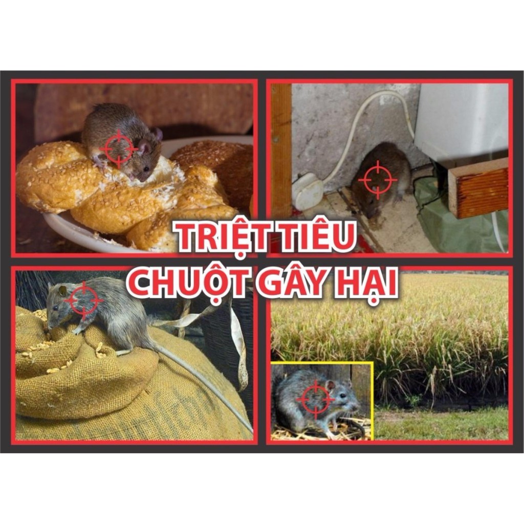 Gò vấp 1 gói Diệt Chuột Storm gói lớn 20viên CHỐNG ĐÔNG MÁU CHUỘT