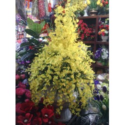 vũ nữ vải giống như thật 1 cành 10k