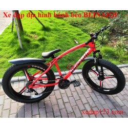 Xe đạp địa hình bánh béo BEINAIQI