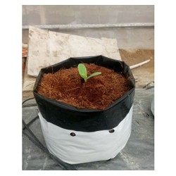 1kg túi ươm cây 2 lớp kích thước 17x33