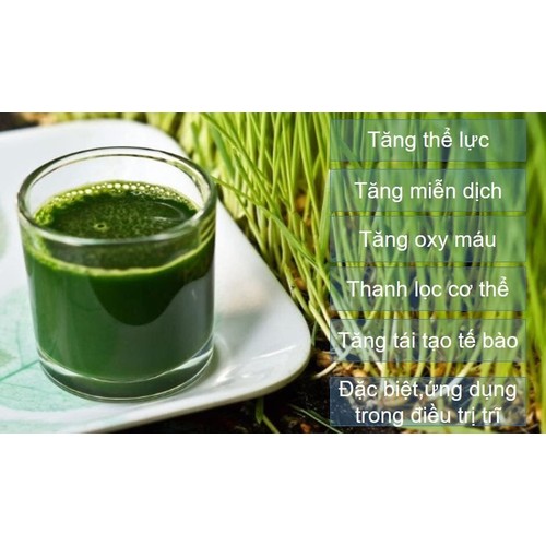 Bột Mầm Lúa Mạch Non Nhật Bản Grass Barley