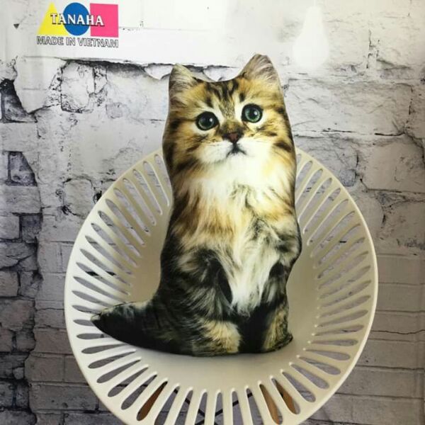 ĐÁNH GIÁ] GẤU BÔNG gối ôm 3d con mèo 55cm, Giá rẻ 440,000đ! Xem 