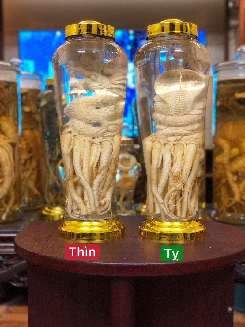 Đinh Lăng Điêu Khắc 12 Con Giáp. Bình 7L