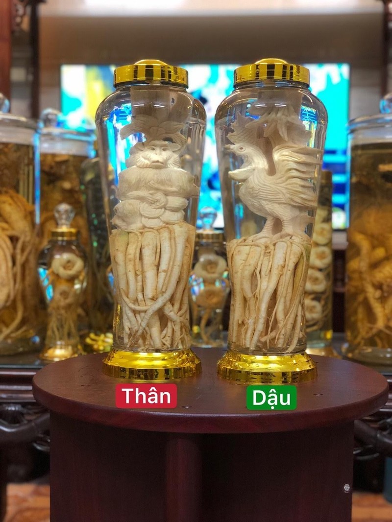 Đinh Lăng Điêu Khắc 12 Con Giáp. Bình 7L