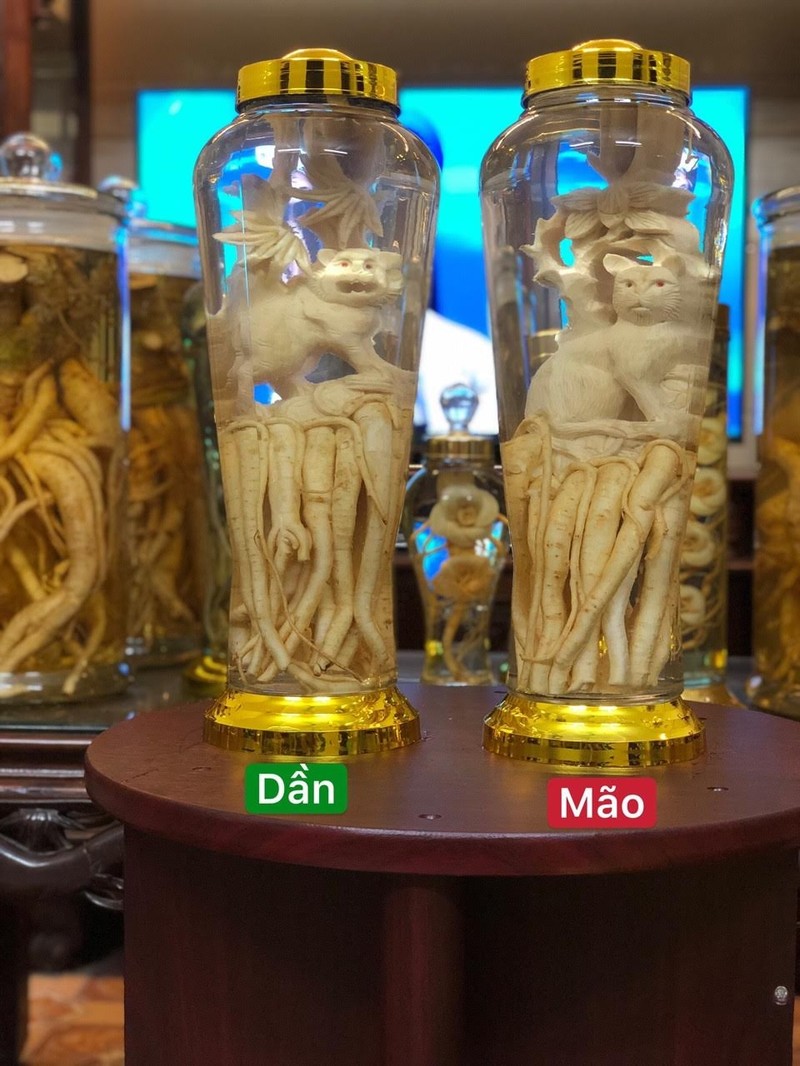 Đinh Lăng Điêu Khắc 12 Con Giáp. Bình 7L