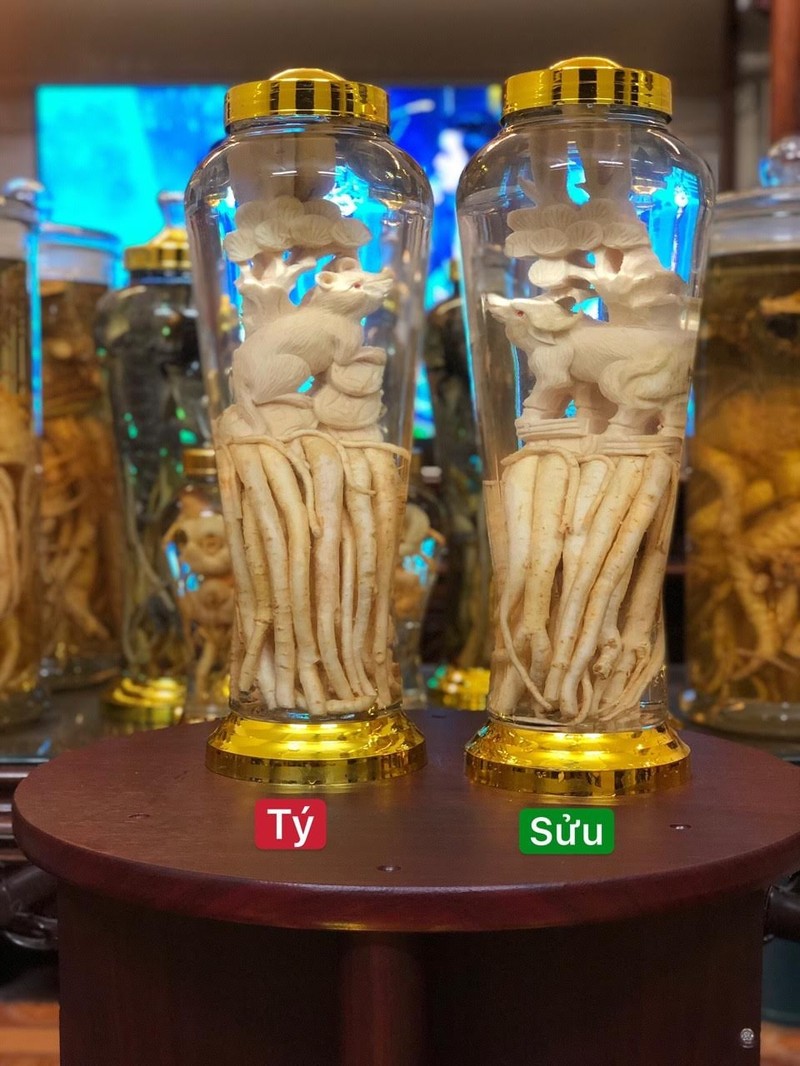 Đinh Lăng Điêu Khắc 12 Con Giáp. Bình 7L