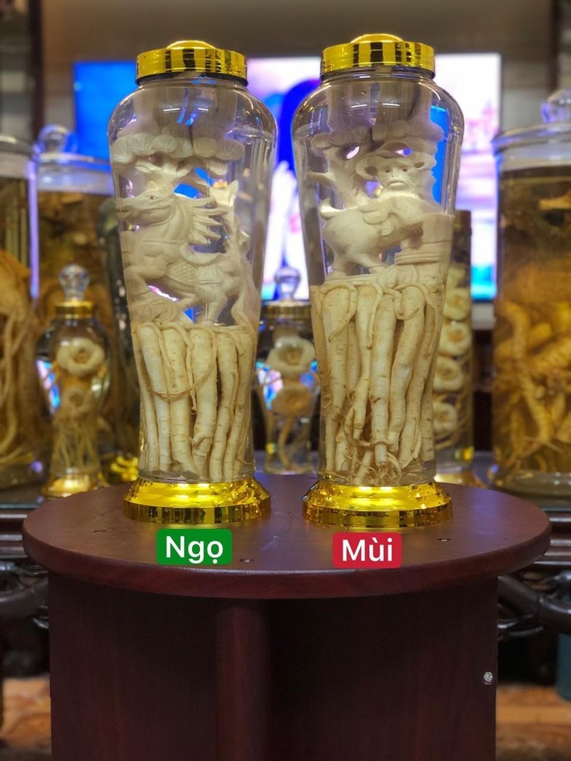 Đinh Lăng Điêu Khắc 12 Con Giáp. Bình 7L