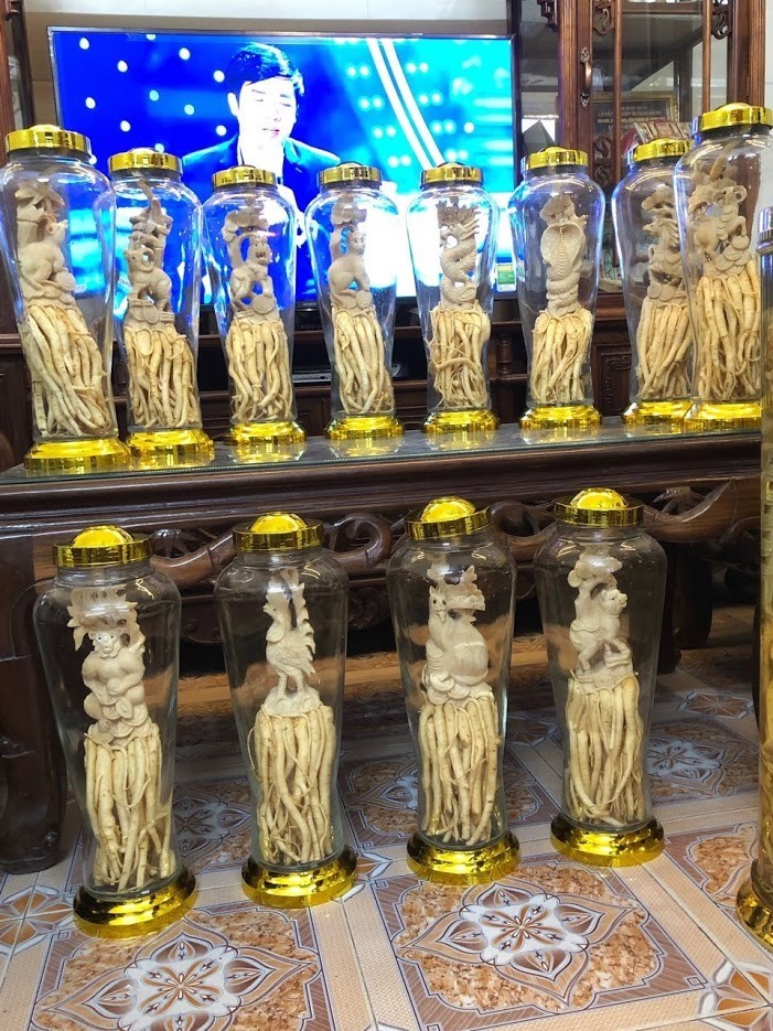 Đinh Lăng Điêu Khắc 12 Con Giáp. Bình 7L