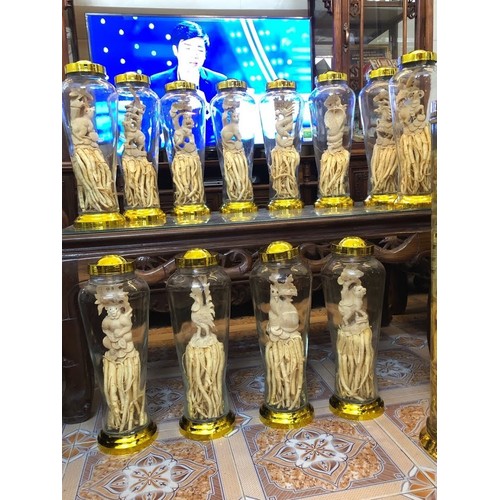 Đinh Lăng Điêu Khắc 12 Con Giáp. Bình 7L