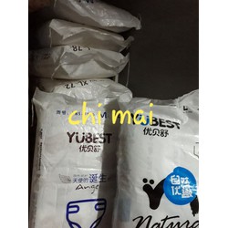 Bỉm yubest angel