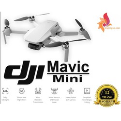 Combo Flycam DJI Mavic Mini Camera 12MP QHD 2.7K Gimbal 3 trục bay 30P - Kiệt Tác Di Động
