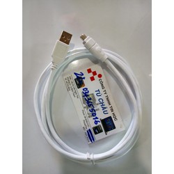 Cáp chuyển USB sang 1394