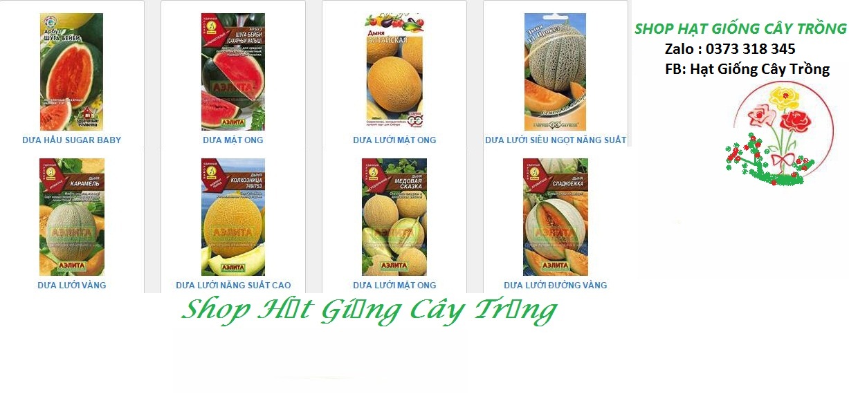 SHOP Garden Seeds Market Sendo Chợ Người Việt Giá Bình Dân Sendo